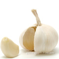 Fresh White Garlic Hot Sale Fresh 5.5cm White Garlic Supplier